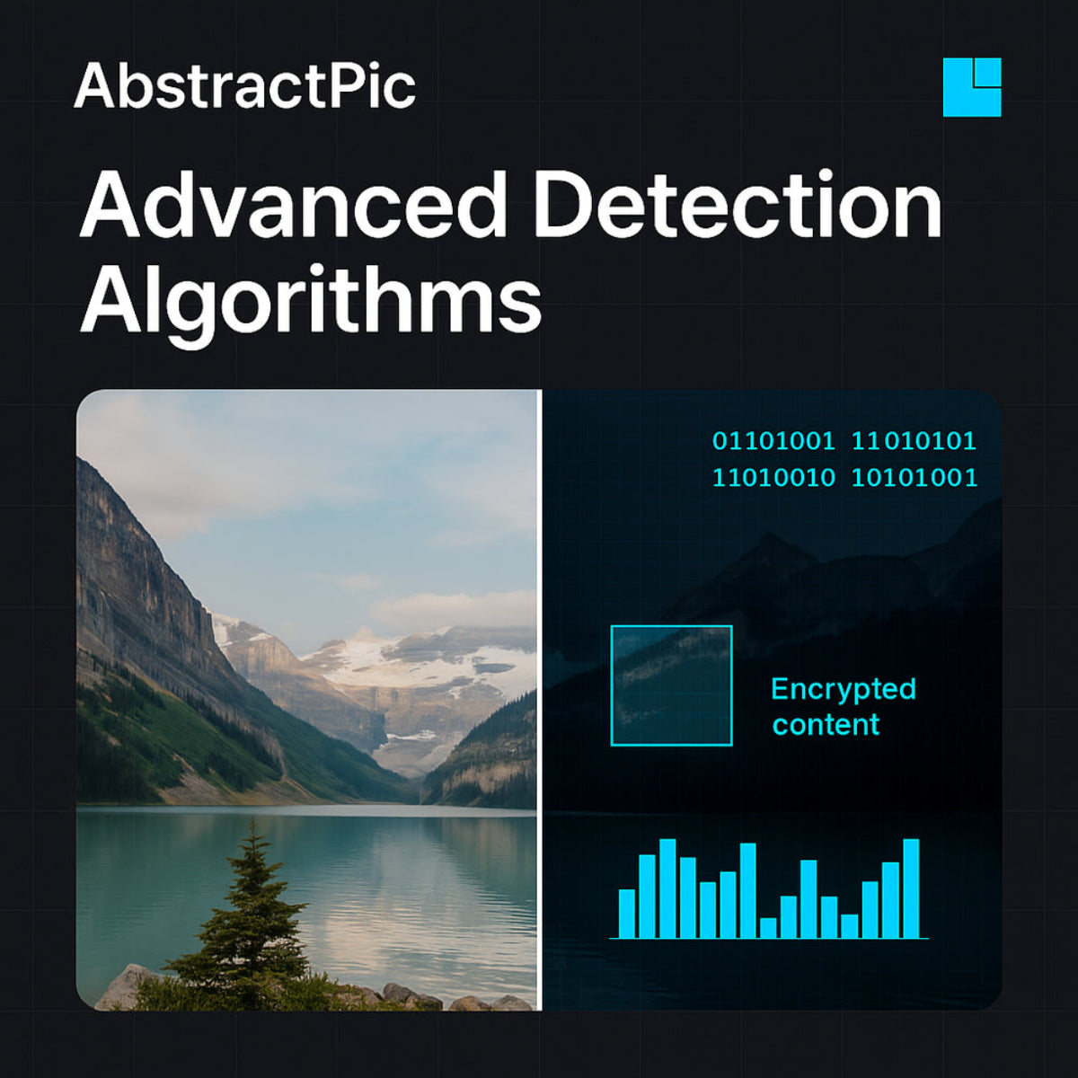 AbstractPic advanced algorithms for detecting steganography